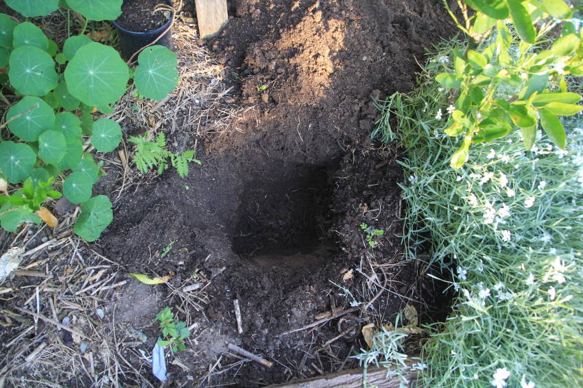 Compost Holes1